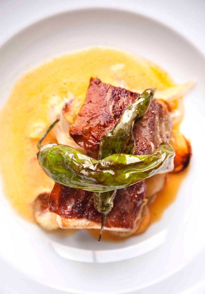 Top view of a gourmet dish featuring grilled peppers and sauce on a white plate.